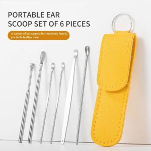 Premium 6PCS Stainless Steel Ear Pick Set with Case